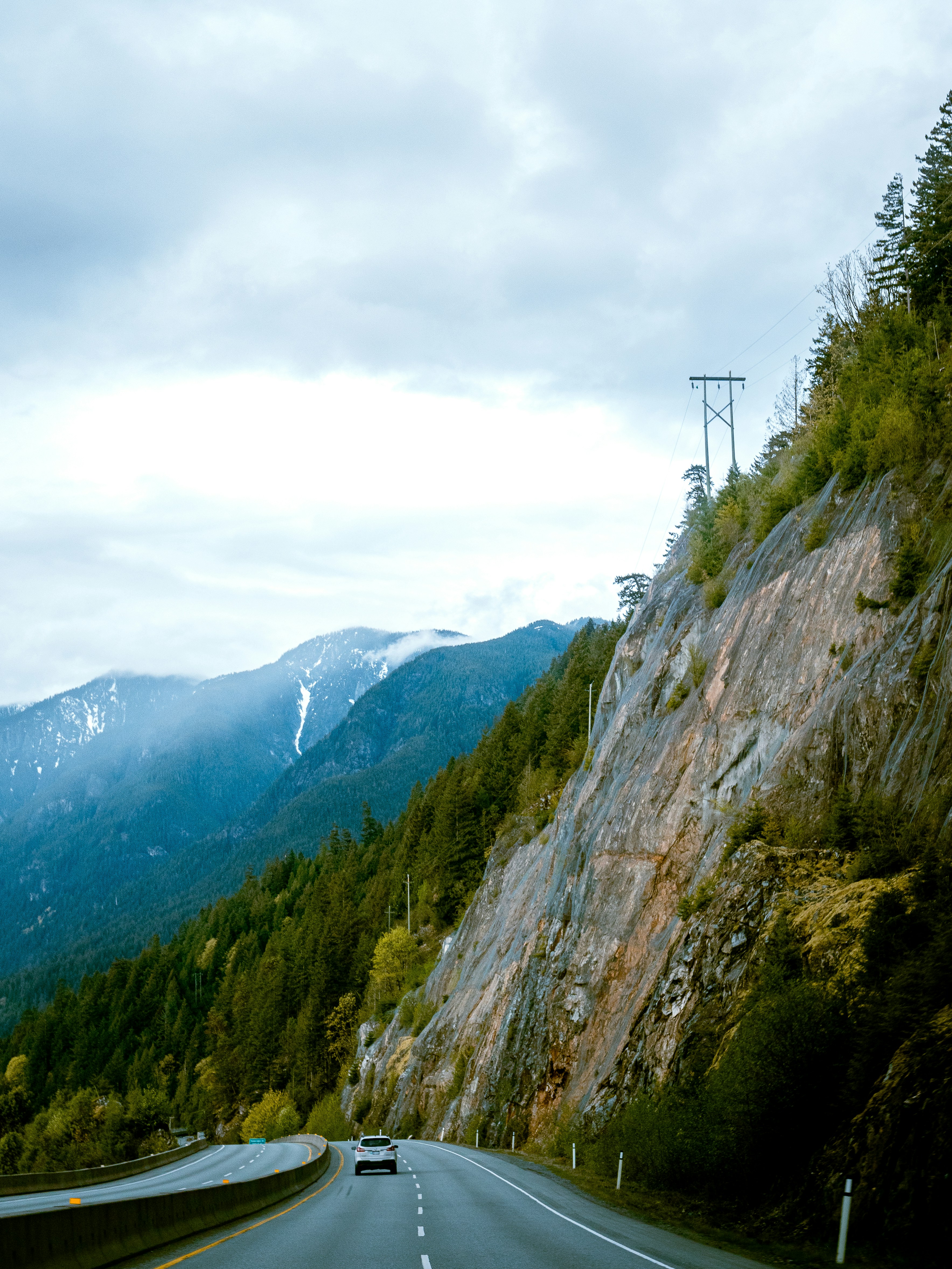 a cat laying on top of a sidewalk next to the ocean